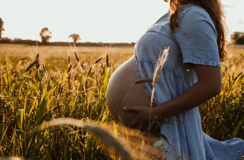 A pregnant woman in a wheat field at sunset