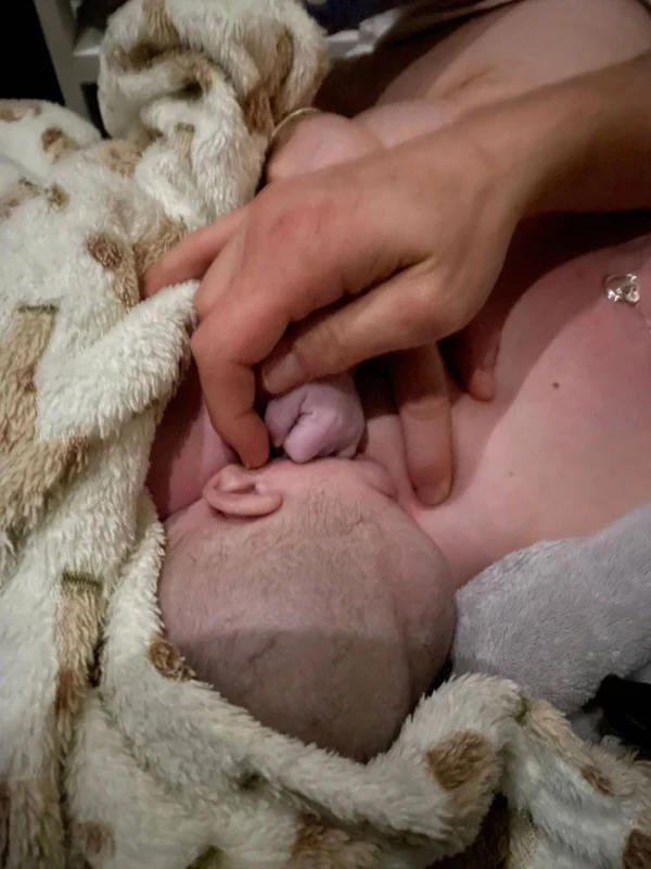 449699519 1461255521417311 8992204186797731536 N